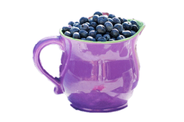 Blueberry image