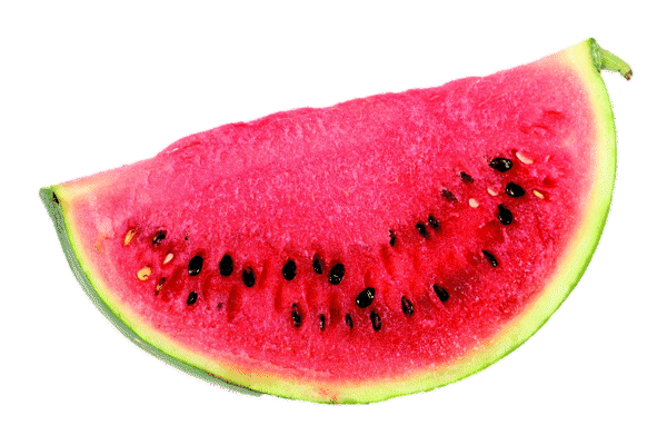 Watermelon image